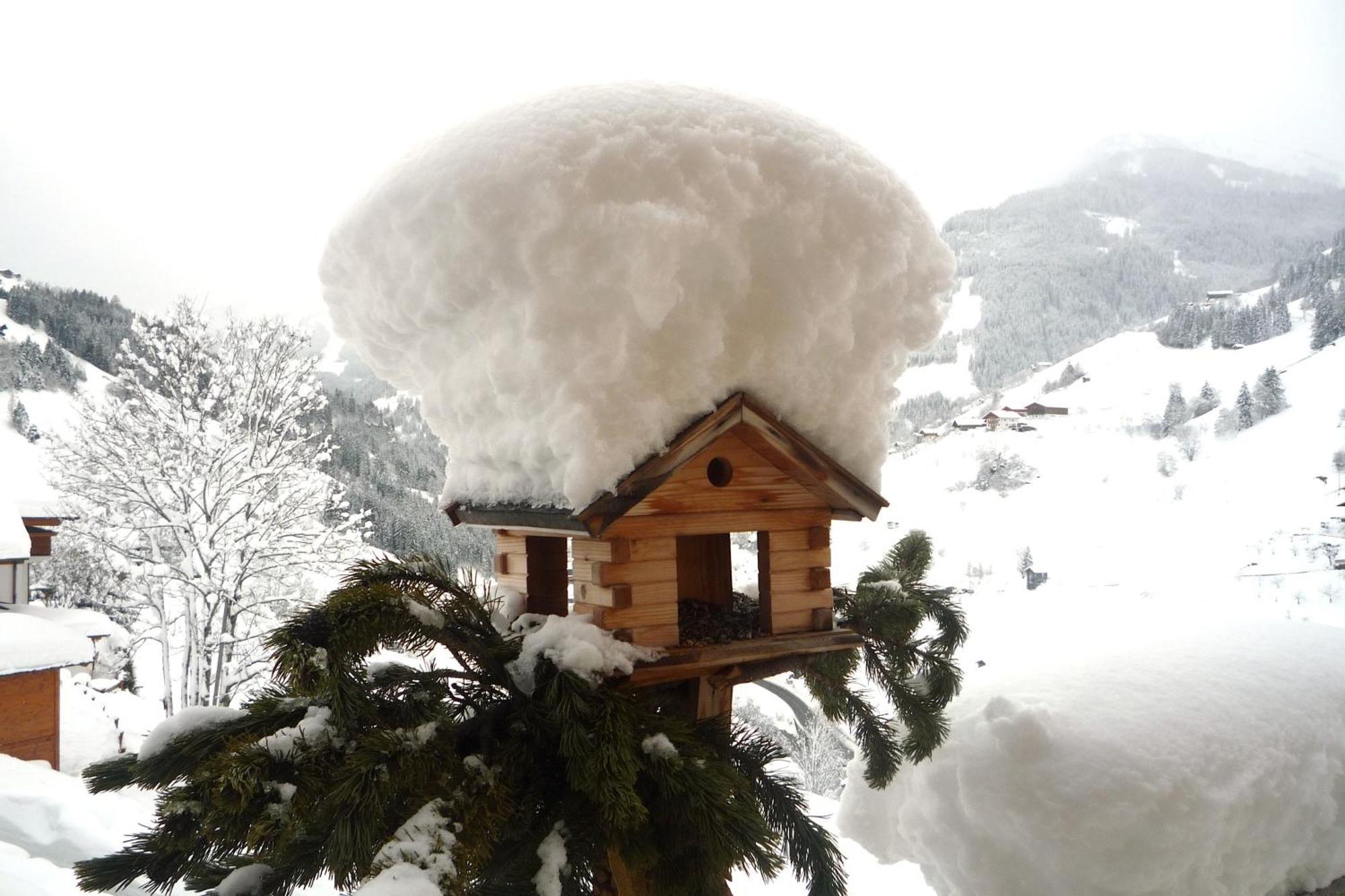 Appartementhaus Unterkofler グロースアルル エクステリア 写真
